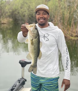 Largemouth Bass Fishing in Cedar Key, Florida