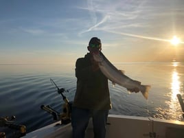 Lake Michigan Charter Adventure