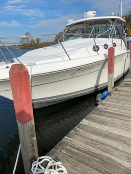 Lake Michigan Charter Adventure