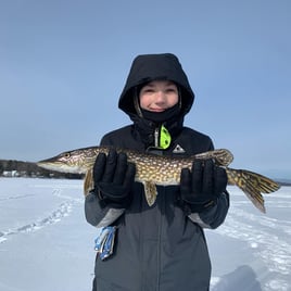 Elk Rapids Ice Fishing Adventure