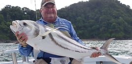 Inshore Roosterfish Special