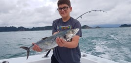 Inshore Roosterfish Special