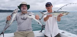 Inshore Roosterfish Special