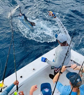 Quepos Billfish and Pelagics