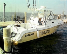 Cape Cod Striper Sniper Trip