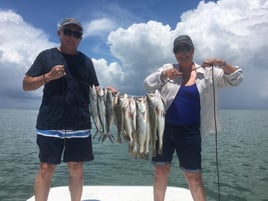 Speckled Trout Fishing in Port Isabel, Texas