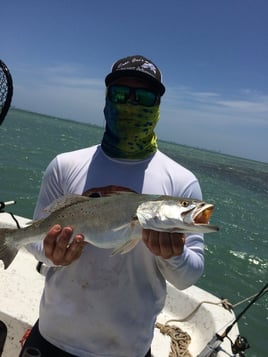 South Padre Shallows Trip