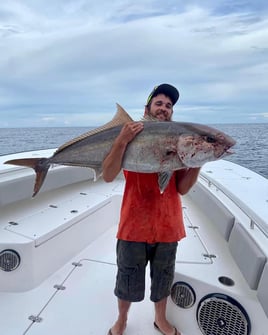 Orange Beach Bottomfishing Special