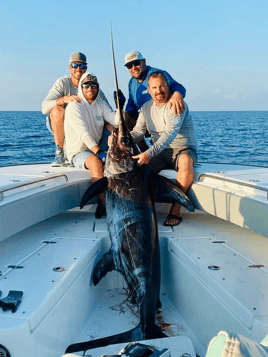 Orange Beach Swordfish Hunt