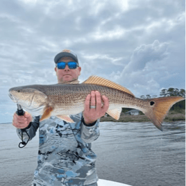 Orange Beach Shoreside Safari