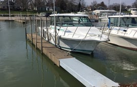 Lake Erie Perch and Walleye Special