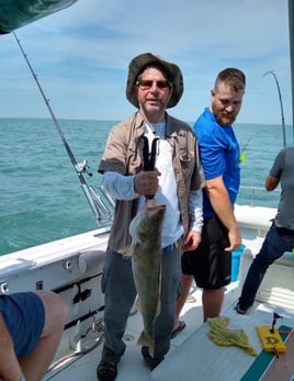 Lake Erie Perch or Walleye Special