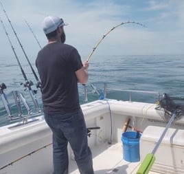 Lake Erie Perch and Walleye Special