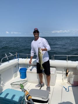 Lake Erie Perch and Walleye Special