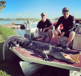 Central Florida Gator Hunt