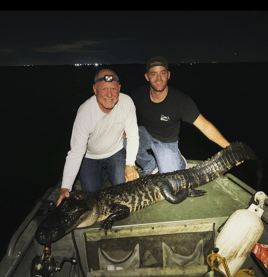 Central Florida Gator Hunt