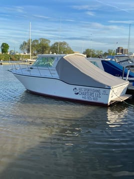 Lake Erie Walleye Roundup