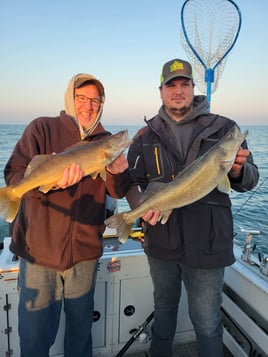 Lake Erie Walleye Catch