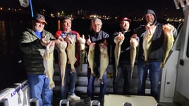 Lake Erie Walleye Catch