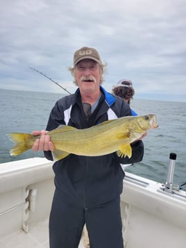 Lake Erie Walleye Catch