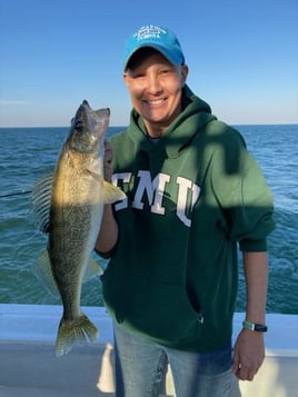 Lake Erie Walleye Catch