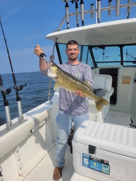 Lake Erie Walleye Catch