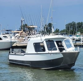 Lake Erie Walleye Catch