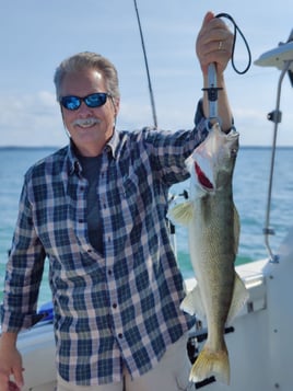 Lake Erie Walleye Catch