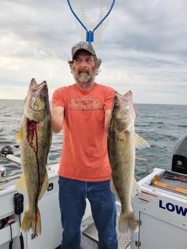 Lake Erie Walleye Catch