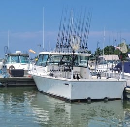 Lake Erie Walleye Catch