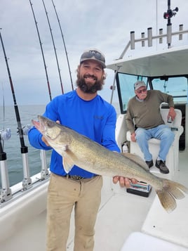 Lake Erie Walleye Catch