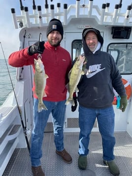 Lake Erie Walleye Catch