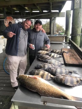 Redfish, Sheepshead Fishing in Freeport, Texas