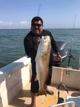 Red Snapper Fishing Trip