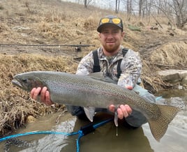 Rainbow Trout Fishing in Glendale, Wisconsin