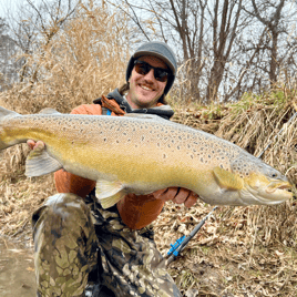 Milwaukee Salmon and Trout