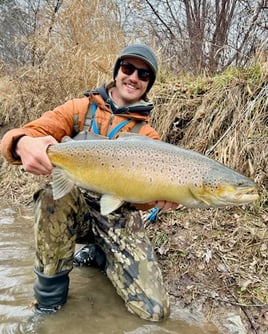 Milwaukee Salmon and Trout