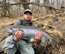 Rainbow Trout Fishing in Glendale, Wisconsin