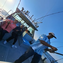 Lake Erie Classic Walleye Trip