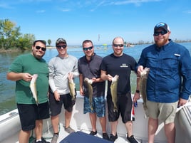 Lake Erie Smallies, Walleye, Perch