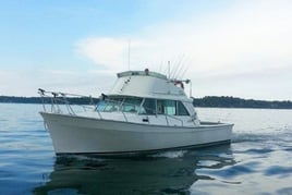 Lake Erie Smallies, Walleye, and Perch