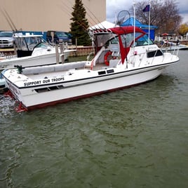 Lake Erie Smallies, Walleye, and Perch