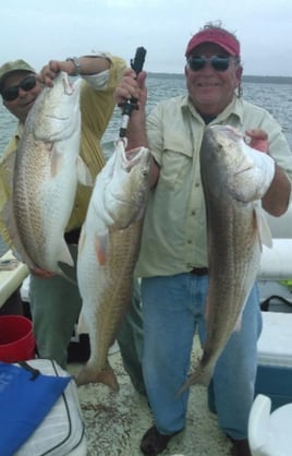 Redfish Fishing in Apalachicola, Florida