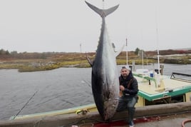 Yellowfin Tuna Fishing in Canso, Canada