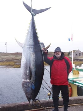 Yellowfin Tuna Fishing in Canso, Canada