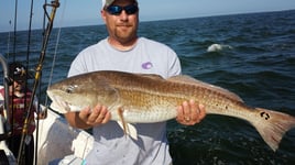 Redfish Fishing in Gulf Shores, Alabama