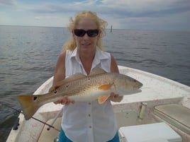 Redfish Fishing in Gulf Shores, Alabama