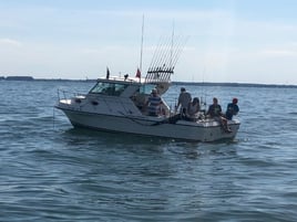 Marblehead Walleye Classic