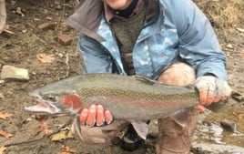 Elite Steelhead Adventure