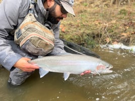 Elite Steelhead Adventure